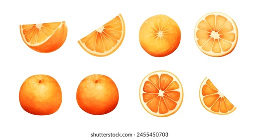 Orange Fruit Watercolor Set. Fresh summer fruit, citrus mandarin fruit, orange fruit slice isolated on white background. Vector illustration