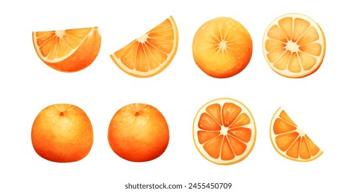 Conjunto de acuarela de fruta naranja. Fruta fresca de verano, cítricos mandarina, rodaja de naranja aislado sobre fondo blanco. Ilustración vectorial