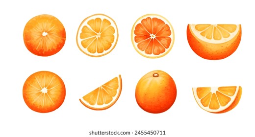 Orange Fruit Watercolor Set. Fresh summer fruit, citrus mandarin fruit, orange fruit slice isolated on white background. Vector illustration