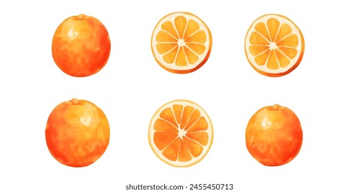 Conjunto de acuarela de fruta naranja. Fruta fresca de verano, cítricos mandarina, rodaja de naranja aislado sobre fondo blanco. Ilustración vectorial