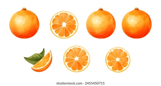 Orange Frucht Aquarell Set. Frische Sommerfrüchte, Zitrusmandarinen-Früchte, Orangenfrüchte auf weißem Hintergrund. Vektorillustration