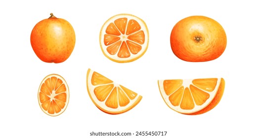 Orange Frucht Aquarell Set. Frische Sommerfrüchte, Zitrusmandarinen-Früchte, Orangenfrüchte auf weißem Hintergrund. Vektorillustration