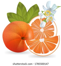 Orange fruit whole and cut into pieses,leaves and inflorescence.