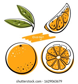 Orange fruit, whole, half, slice and leaves. Colorful sketch collection of citrus fruits isolated on white background. Doodle hand drawn vegetables. Vector illustration