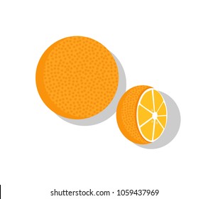 Orange fruit whole and half vector illustration of orange healthy ripe organic fruits isolated on white background. Healthy dieting tropical oranges