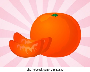 Orange fruit, whole and individual segments, illustration