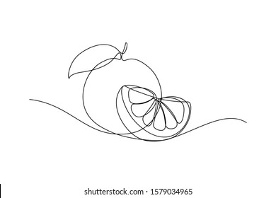 Orange Fruit Whole And A Slice In Continuous Line Art Drawing Style. Black Line Sketch On White Background. Vector Illustration