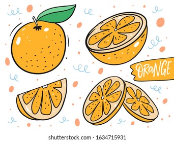 Orange fruit whole and slice doodle elements set. Vector illustration in cartoon style. Isolated on white background. Design for poster, banner, menu, market and web.