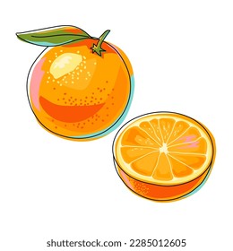 Orange fruit. Whole fruit with stem and leaves and half. Bright tropical fruit isolated on white background. Hand drawn sketch. Cartoon style. Vector illustration.