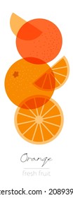 Orange Fruits. Flat illustration. Beautiful transparent whole and cut fruits.