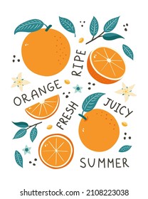 Orange Fruits Hand Drawn Poster. Doodle style citrus, leaves, seeds and blossoms vector illustration for banner, background, menu, market label, food package design and decoration, sticker, print.