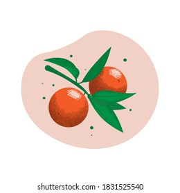 Orange fruits and leaves on a branch. Vector illustration with grain texture.
