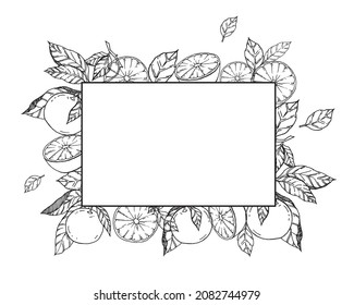 Orange fruits and leaves square frame with white background