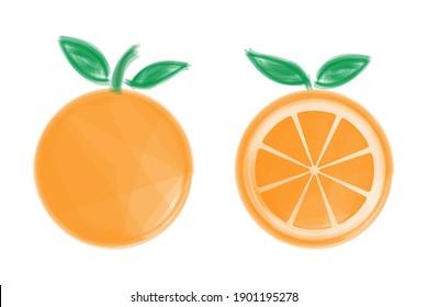 Orange fruits on a white background. vector illustration