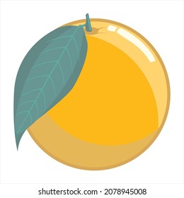 orange fruits one leaf logo vector