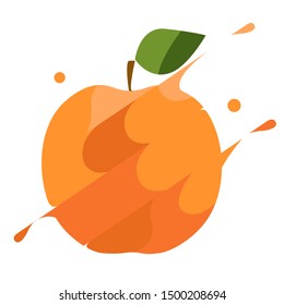 Orange Fruits Sliced And Splash Vector 