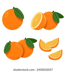 Orange fruits vector cartoon set isolated on a white background.