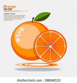 Orange fruits vector illustration
