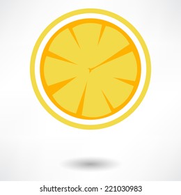 Orange fruits vector illustration