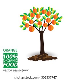Orange, fruits vector illustration.