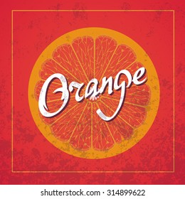 Orange fruits vector illustration