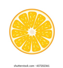 Orange fruits vector illustration.