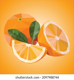 orange fruits vector for illustrator