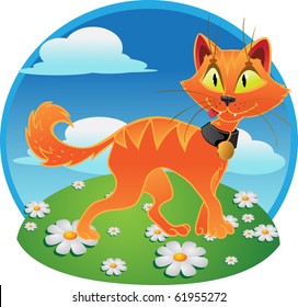 Orange  fun  terrible cat on color background