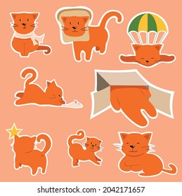 Gato gracioso de naranja. Un conjunto de poses diferentes.