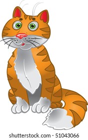 Orange funny sitting cat
