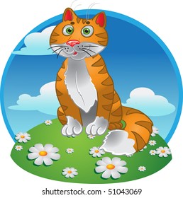 Orange funny sitting cat on color background