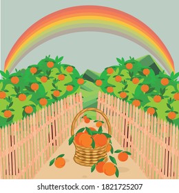 Orange garden green landscape wood fence path rainbow basked with fruit blue sky flat design art design stock vector illustration for web, for print