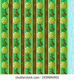 Orange garden pixel art. Orange tree pixel art. Vector picture.