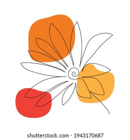 Orange Gerbera Drawn One Line Isolated Abstract Background Vector Illustration