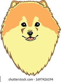 Orange german spitz smiling dog vector drawing