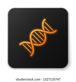 Orange glowing DNA symbol icon isolated on white background. Black square button. Vector Illustration