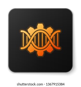 Orange glowing Genetic engineering icon isolated on white background. DNA analysis, genetics testing, cloning, paternity testing. Black square button. Vector Illustration