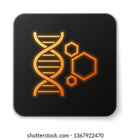 Orange glowing Genetic engineering icon isolated on white background. DNA analysis, genetics testing, cloning, paternity testing. Black square button. Vector Illustration