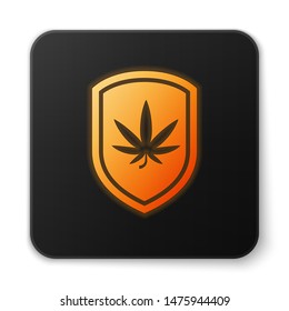 Orange glowing neon Shield and marijuana or cannabis leaf icon isolated on white background. Marijuana legalization. Hemp symbol. Black square button. Vector Illustration