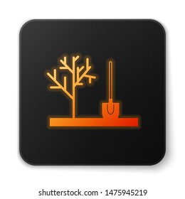 Orange glowing Planting a tree in the ground icon isolated on white background. Gardening, agriculture, caring for environment. Black square button. Vector Illustration