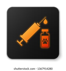 Orange glowing Syringe with pet vaccine icon isolated on white background. Dog or cat paw print. Black square button. Vector Illustration