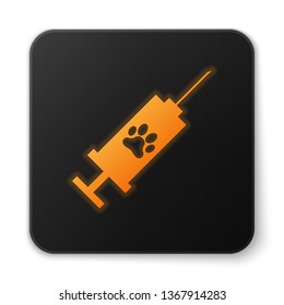 Orange glowing Syringe with pet vaccine icon isolated on white background. Dog or cat paw print. Black square button. Vector Illustration