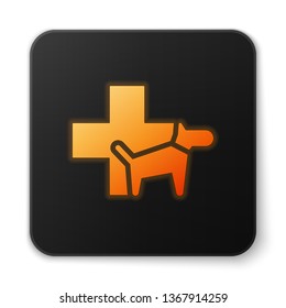 Orange glowing Veterinary clinic symbol icon isolated on white background. Cross with dog veterinary care. Pet First Aid sign. Black square button. Vector Illustration