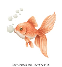 Orange goldfish blowing air bubbles