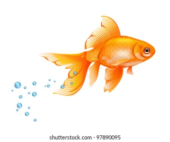 金魚イラスト の画像 写真素材 ベクター画像 Shutterstock