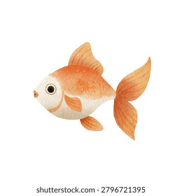 Orange goldfish with white belly