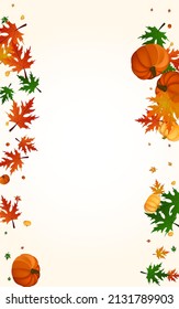 Orange Gourd Background Light Vector. Red September Illustration. Green Rowan Pattern Border. Leaf Image. Holiday Texture.