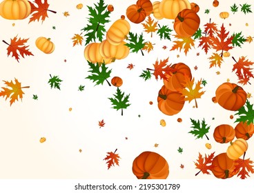 Orange Gourd Background Light Vector. Colorful Nature Banner. Green Pumpkin Picking Frame. Vegetable Foliage. Cozy Set.