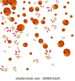 Orange Gourd Background White Vector. Plant Season. Yellow Thanksgiving Card. Floral Set. Gold Leaf Wreath Border.
