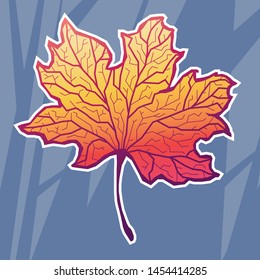 Orange gradient autumn maple leaf in front of abstract background.
